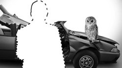 Image Trademark