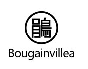 BOUGAINVILLEA