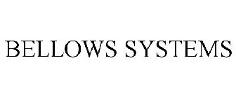 BELLOWS SYSTEMS