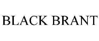BLACK BRANT