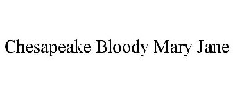 CHESAPEAKE BLOODY MARY JANE