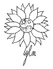 YLM