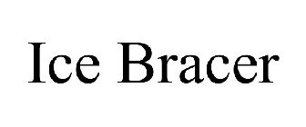 ICE BRACER