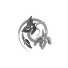Image Trademark