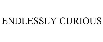 ENDLESSLY CURIOUS