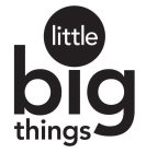 LITTLE BIG THINGS
