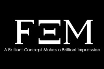 FEM A BRILLIANT CONCEPT MAKES A BRILLIANT IMPRESSION