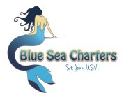 BLUE SEA CHARTERS, ST JOHN, USVI