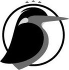 Image Trademark