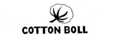 COTTON BOLL
