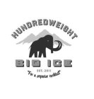 HUNDREDWEIGHT BIG ICE EST. 2011 