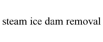 STEAM ICE DAM REMOVAL