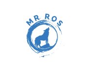 MR ROS