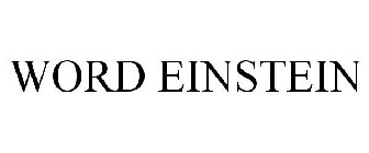 WORD EINSTEIN