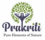 PRAKRITI PURE ELEMENTS OF NATURE