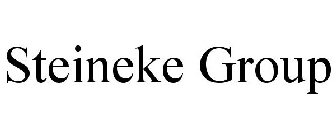 STEINEKE GROUP