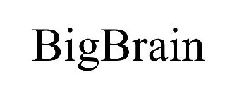 BIGBRAIN