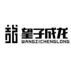 WANGZICHENGLONG