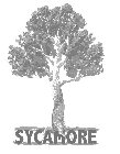 SYCAMORE