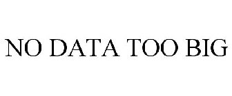 NO DATA TOO BIG