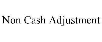 NON CASH ADJUSTMENT