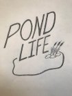 POND LIFE