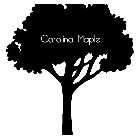 CAROLINA MAPLE