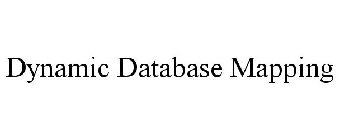 DYNAMIC DATABASE MAPPING