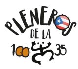 PLENEROS DE LA 100X35