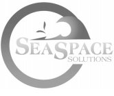 SEASPACE SOLUTIONS