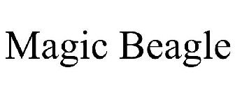 MAGIC BEAGLE