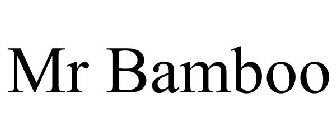 MR BAMBOO