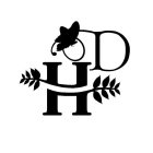 HD