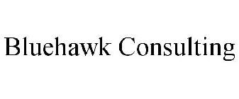 BLUEHAWK CONSULTING