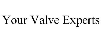 YOUR VALVE EXPERTS