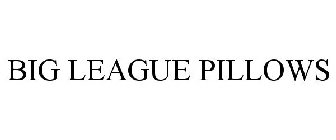 BIG LEAGUE PILLOWS