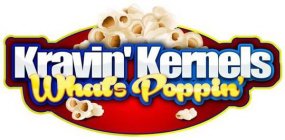 KRAVIN' KERNELS WHAT'S POPPIN'