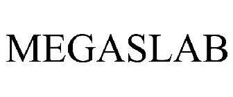 MEGASLAB