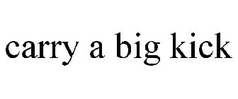 CARRY A BIG KICK