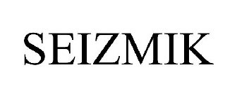 SEIZMIK