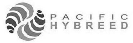PACIFIC HYBREED