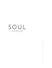 SOUL NATURALIZER
