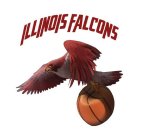 ILLINOIS FALCONS