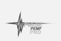 PULSE PEMF PRO