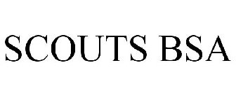 SCOUTS BSA