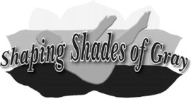 SHAPING SHADES OF GRAY