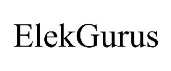 ELEKGURUS