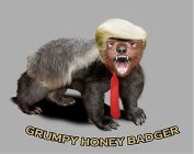 GRUMPY HONEY BADGER