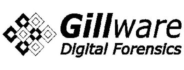 GILLWARE DIGITAL FORENSICS