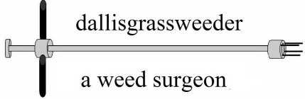 DALLISGRASSWEEDER A WEED SURGEON